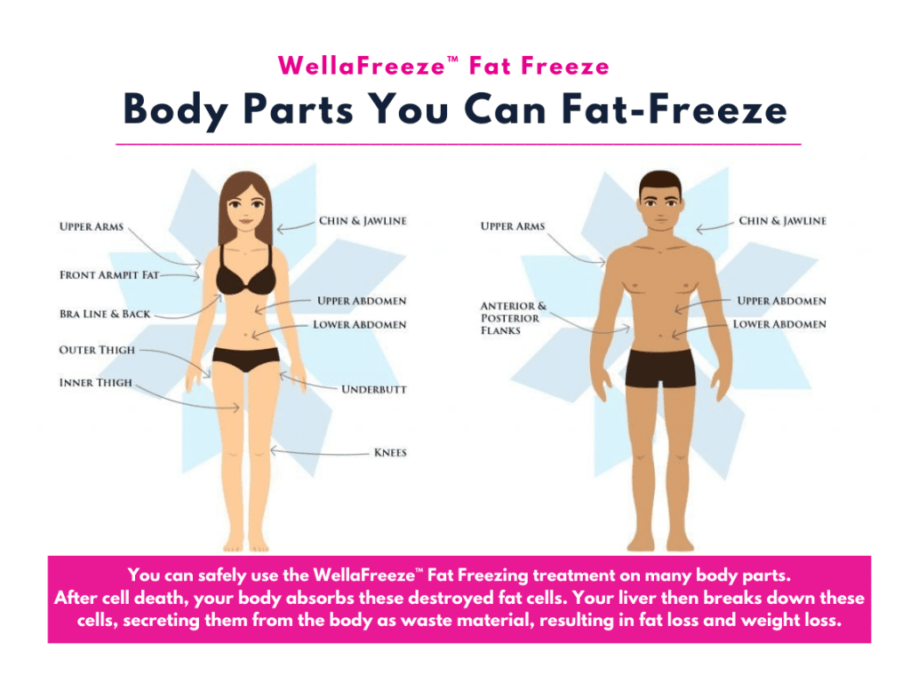WellaFreeze Body Parts