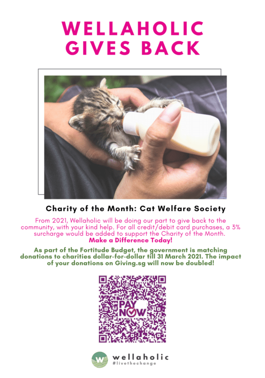 Wellaholic Gives Back