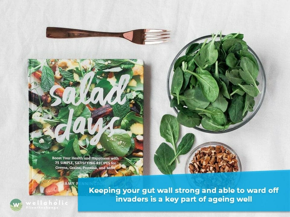 keeping your gut wall strong and able to ward off invaders is a key part of ageing well